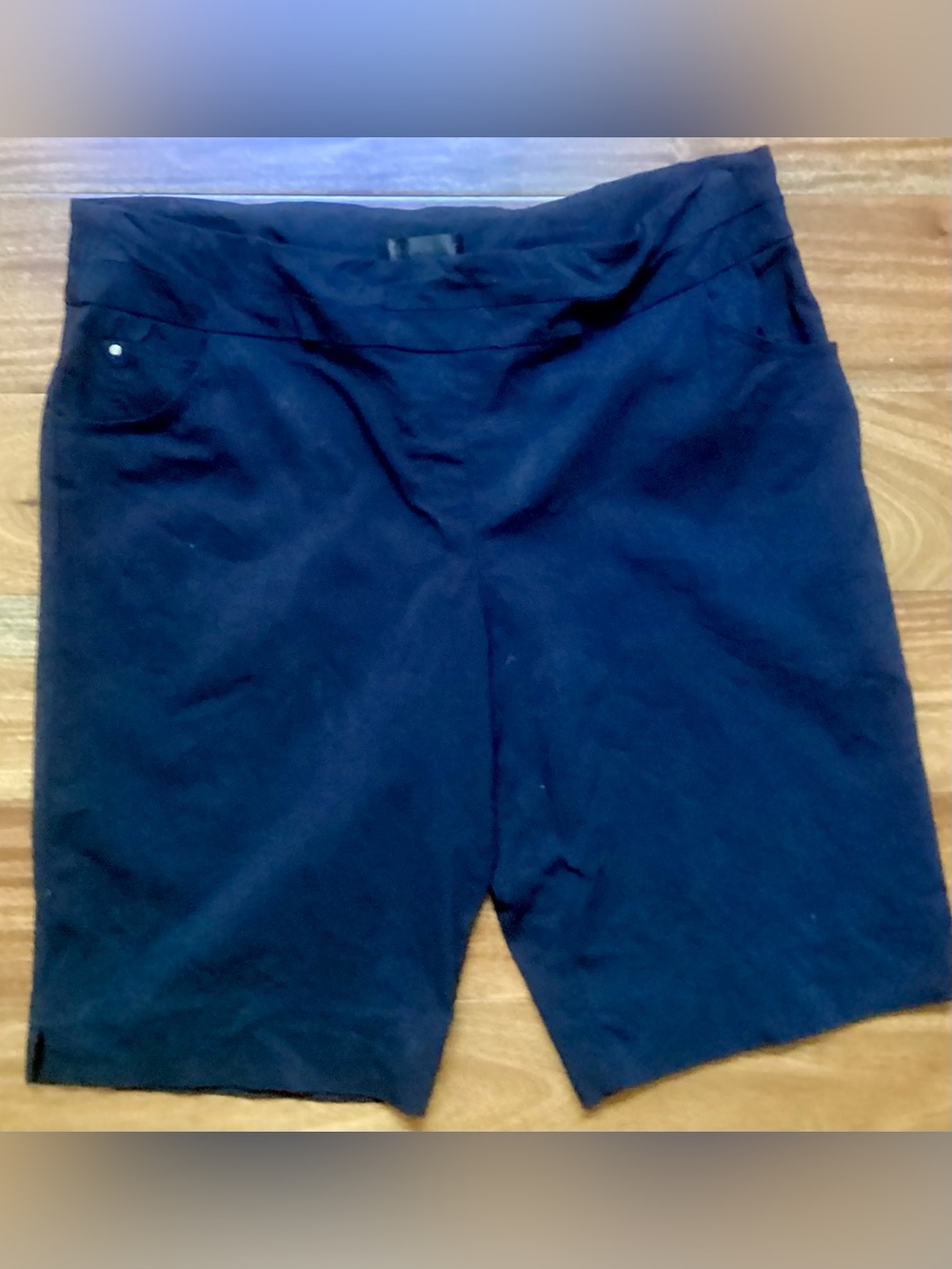 Dark Blue Renuar Shorts.